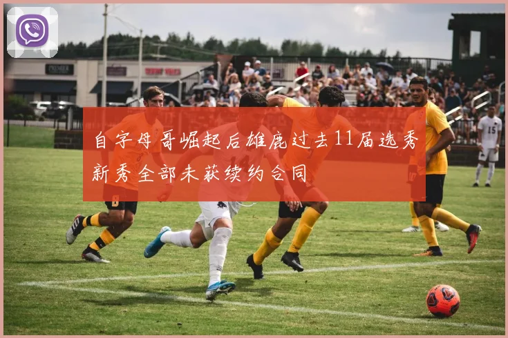 自字母哥崛起后雄鹿过去11届选秀新秀全部未获续约合同