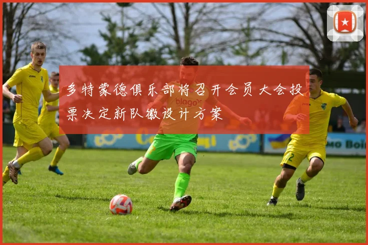 多特蒙德俱乐部将召开会员大会投票决定新队徽设计方案