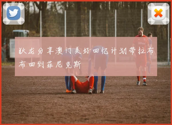 狄龙分享澳门美好回忆计划带拉布布回到菲尼克斯