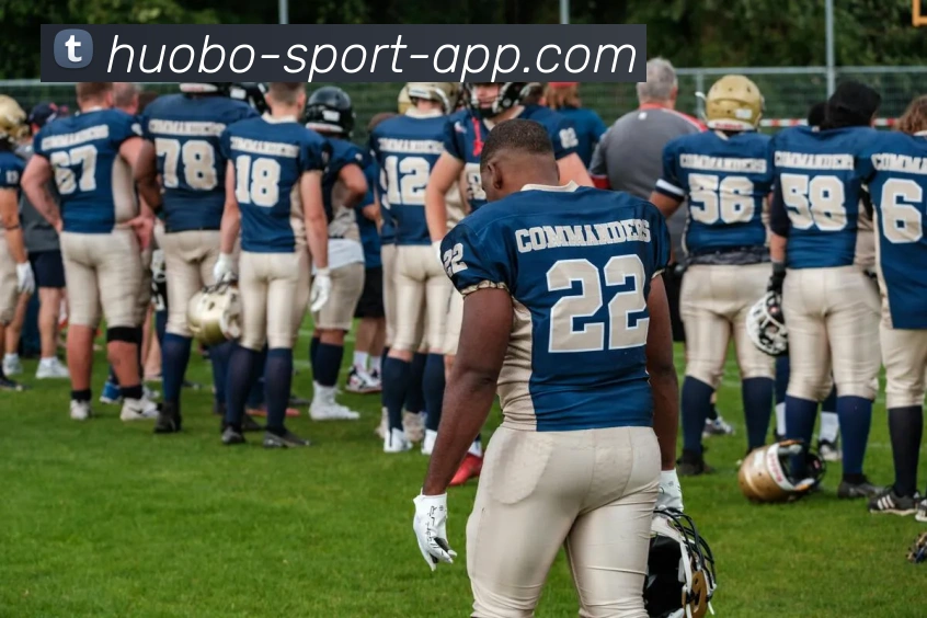 火博体育平台生态图