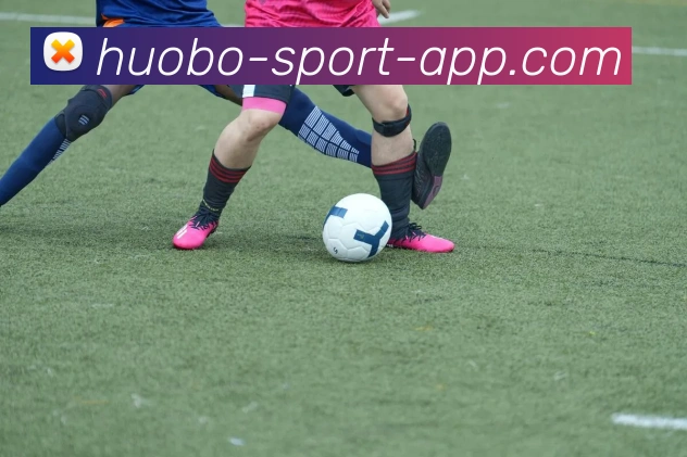 火博体育APP 封面图